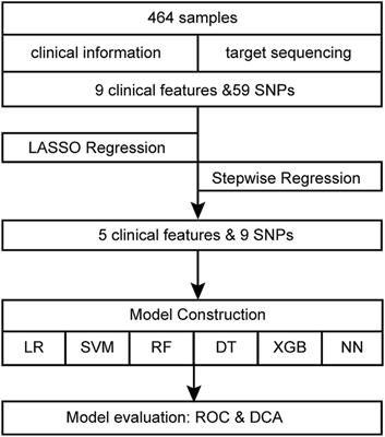 A multi-variable predictive warning model for cervical cancer using clinical and SNPs data